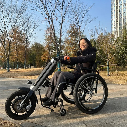 Handbike Handicapped Wheelchair